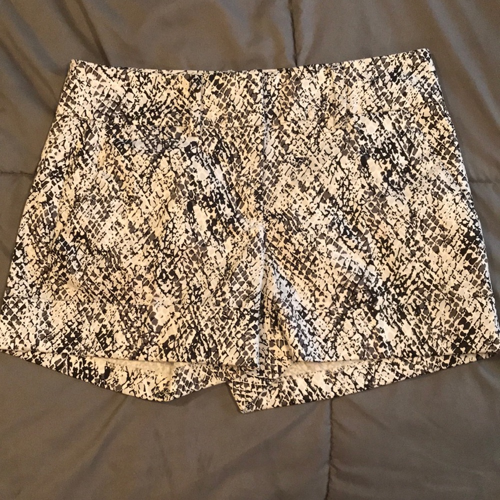 Snake print New York & Company Shorts